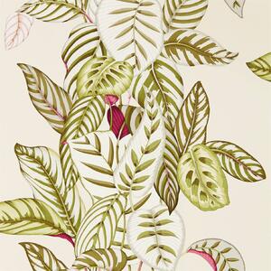 Sanderson Tapeta Calathea Odstín tapety: Olive