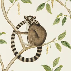 Sanderson Ringtailed Lemur Odstín tapety: Ringtailed Lemur Cream/Olive