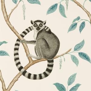 Sanderson Ringtailed Lemur Odstín tapety: Ringtailed Lemur Stone/Eucalyptus