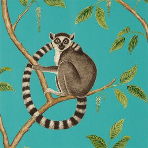 Sanderson Ringtailed Lemur Odstín tapety: Ringtailed Lemur Teal