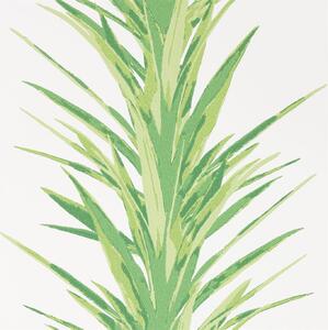 Sanderson Yucca Odstín tapety: Botanical Green