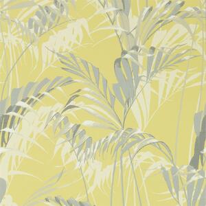 Sanderson Palm House Odstín tapety: Chartreuse/Grey