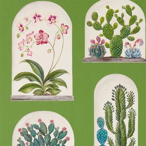 Sanderson Terrariums Odstín tapety: Botanical Green/Multi