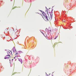 Sanderson Tulipomania Odstín tapety: Tulipomania Botanical
