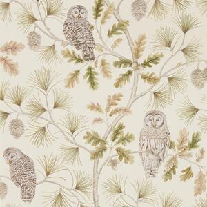 Sanderson Owlswick Odstín tapety: Briarwood