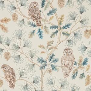 Sanderson Owlswick Odstín tapety: Teal