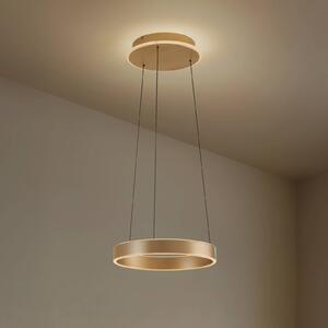 Lucande LED závěsné světlo Tindra, Ø 40 cm, zlaté, stmívatelné, stmívatelný, Mosaz / zlato, Obývací pokoj / jídelna, kov, Moderní