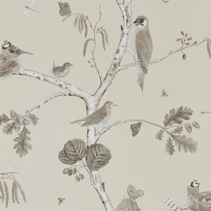 Sanderson Tapeta Woodland Chorus, kolekce Woodland Walk tapet Sanderson: Sepia/Neutral