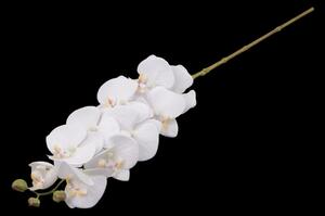 Umělá orchidej - 1 bílá