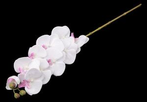 Umělá orchidej - 2 bílá růžová