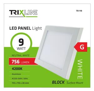LED Stropní svítidlo LED/9W/230V 4200K