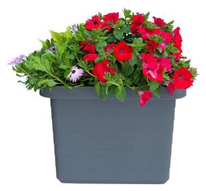 Antracitově šedý velkoobjemový samozavlažovací truhlík, délka 45 cm Berberis Uno - Plastia