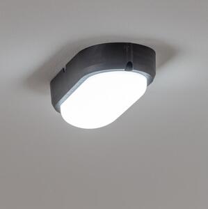 Brilagi - LED Stropní průmyslové svítidlo SIMA LED/12W/230V IP65 černá