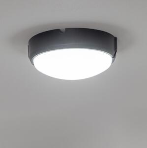 Brilagi - LED Stropní průmyslové svítidlo SIMA LED/12W/230V IP65 černá