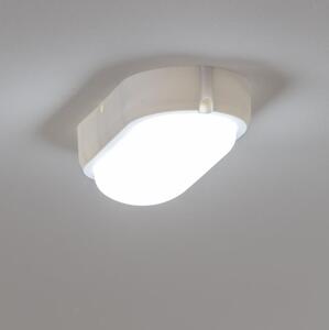 Brilagi - LED Stropní průmyslové svítidlo SIMA LED/12W/230V IP65 bílá