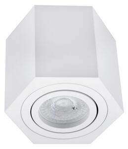 Bodové svítidlo ARENO 1xGU10/30W/230V bílá