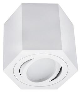 Bodové svítidlo ARENO 1xGU10/30W/230V bílá