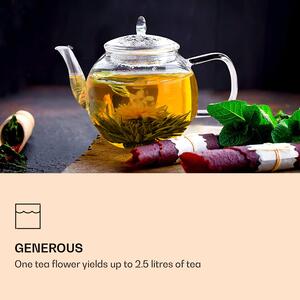 Feelino Skleněná konvice, 800 ml, borosilikátové sklo, s uzávěrem, čajové sítko a čajové květy