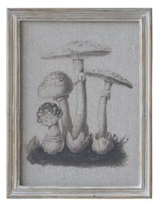 Chic Antique Plátěný obraz v přírodním rámu - houby I
