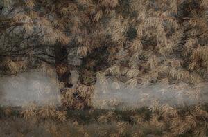 Ilustrace Pine tree, Nel Talen, (40 x 26.7 cm)