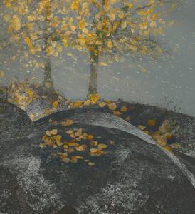 Ilustrace Falling leaves, Nel Talen, (35 x 40 cm)