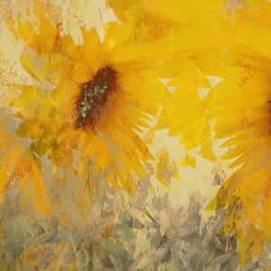 Ilustrace Sunflower, Nel Talen, (40 x 40 cm)