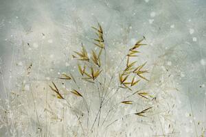 Ilustrace Wintertime, Nel Talen, (40 x 26.7 cm)