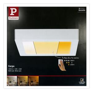 Paulmann 79796 - LED/13W Stropní svítidlo CARPO 230V 2300-3000K