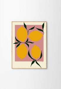 Autorský plakát Pink Lemon by Anna Mörner 30x40 cm