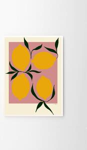 Autorský plakát Pink Lemon by Anna Mörner 30 x 40 cm