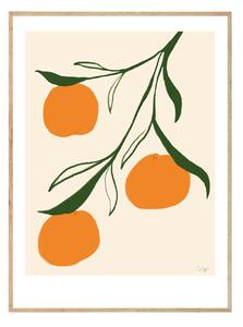 Autorský plakát Orange by Anna Mörner 30 x 40 cm