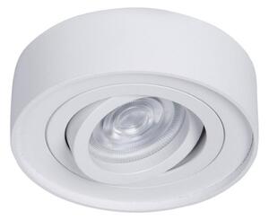 Podhledové bodové svítidlo NUSA 1xGU5,3/MR16/50W/12V kulatý bílá