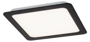 Rabalux 2683 - LED Podhledové svítidlo SHAUN LED/12W/230V 14,5 cm