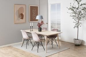 Design Scandinavia Jídelní židle Eris (SET 2ks), samet, růžová