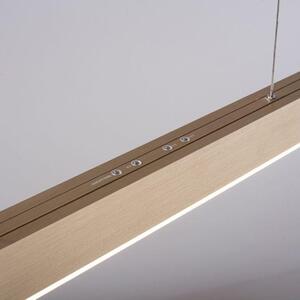 Paul Neuhaus Závěsné LED svítidlo PURE-MOTO, 3x13W, d. 120 cm, 2700-5000K, nastavitelné Barva: Zlatá