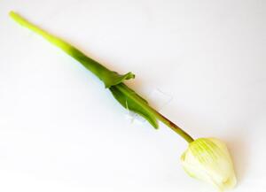 Tulipán Fanfán - bílo - zelený, d.47cm