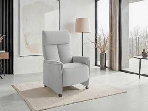 RELAXAČNÍ KŘESLO, textil, barvy stříbra Sit & More - Online Only křesla & taburety, Online Only
