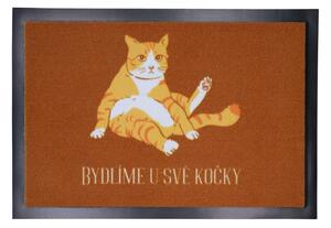 Rohožka Bydlíme u své kočky 40x60 cm 40x60 cm