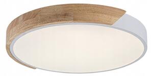 Závěsná lampa Rabalux Maple2 1 - body světla, integrovaný LED zdroj