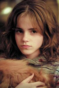 Umělecký tisk Harry Potter - Hermione Granger