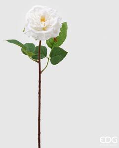 Růže Alma Olis H48 Bílá