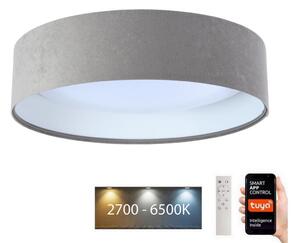 BPS Koncept LED Stropní svítidlo SMART GALAXY LED/24W/230V Wi-Fi Tuya šedá/bílá + DO BS0512
