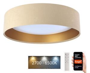BPS Koncept LED Stropní svítidlo SMART GALAXY LED/24W/230V Wi-Fi Tuya béžová/zlatá + DO BS0508