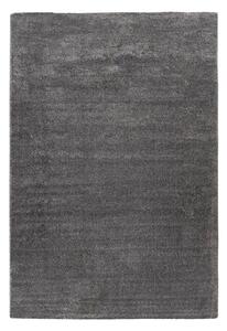 KOBEREC, 80/150 cm antracitová - Online Only koberce & rohožky, Online Only