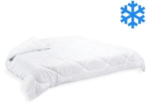 Brotex Přikrývka Thermo 220x200cm zimní 2640 g (600g / m2)
