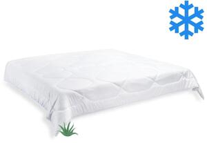 Brotex Přikrývka Aloe Vera zimní 240x200cm 2160 g