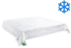 Brotex Přikrývka Aloe Vera zimní 240x220cm 2370 g