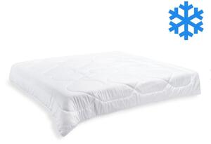 Brotex Přikrývka Thermo 200x200cm zimní 2400 g (600g / m2)