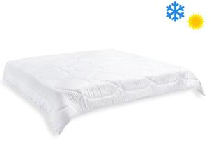Brotex Přikrývka Luxus plus 200x200cm celoroční 1200g (300g / m2)