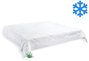 Brotex Přikrývka Aloe Vera zimní 200x200cm 1800g